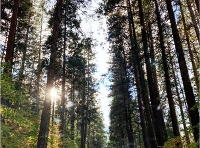Yosemite National Park