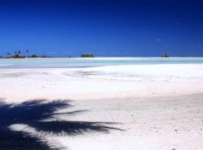 Fakarava Sable Rose 06