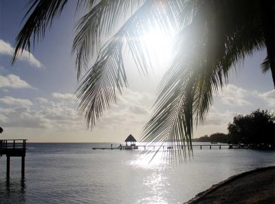 Rangiroa 15
